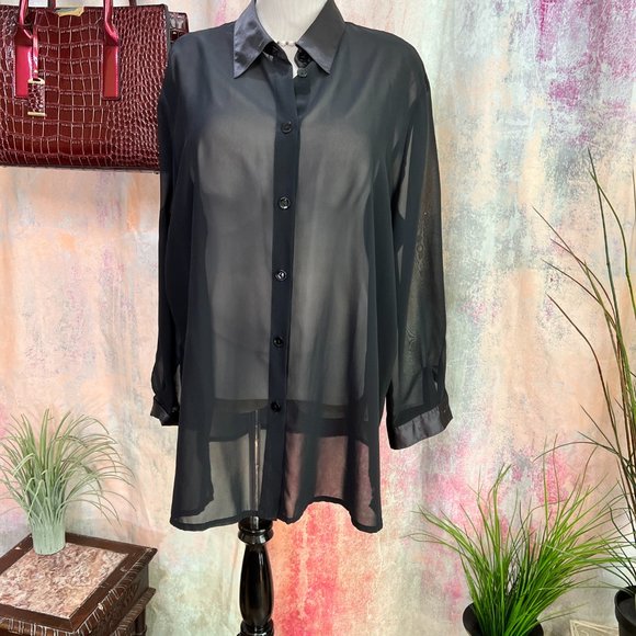 No Brand Label Tops - VTG📌 Chiffon Button Down Blouse with Satin Collar & Cuffs